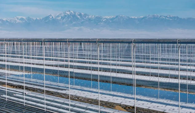 1762755780240133.jpg 1.jpg