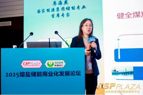 1763217189716667.png 2熔盐储能商业化发展论坛圆满闭幕881.png