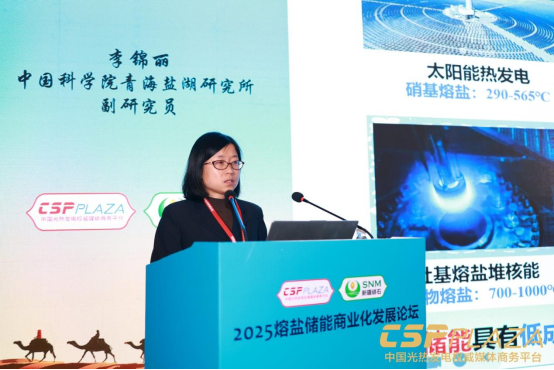 1763217241115656.png 2熔盐储能商业化发展论坛圆满闭幕1577.png