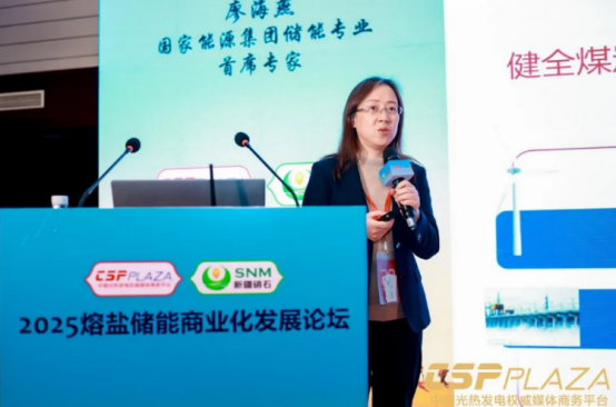25.11.24 国家能源集团廖海燕：高温熔盐储热技术的应用实践159.png
