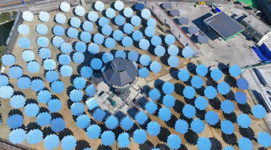 1765155748295524.jpg 3.jpg